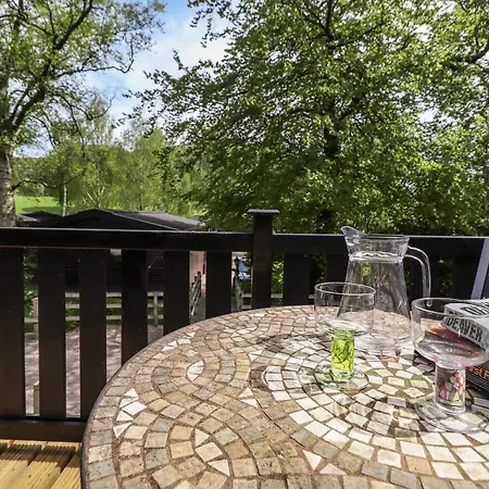 Robin's Nest * קזיק