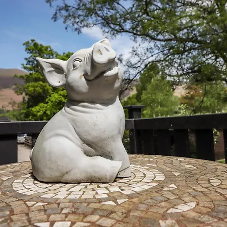 Robin's Nest Holiday home